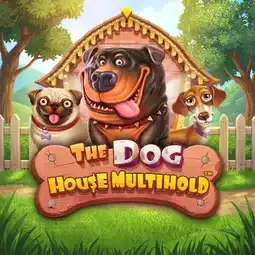 The Dog House Multihold game at Casiny Casino for Australia players